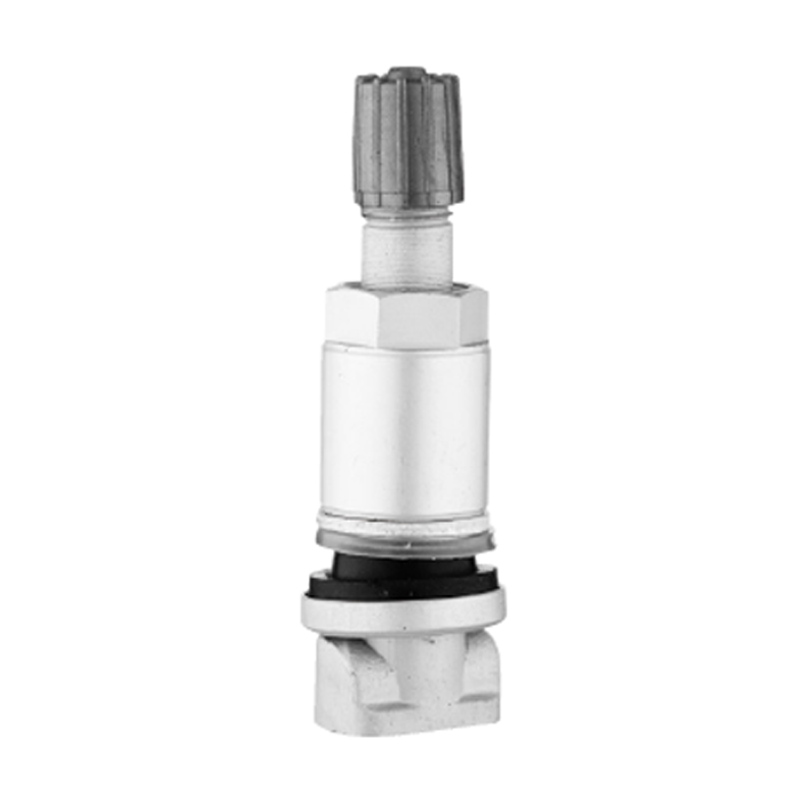 TPMS-ventiler-TPMS-01